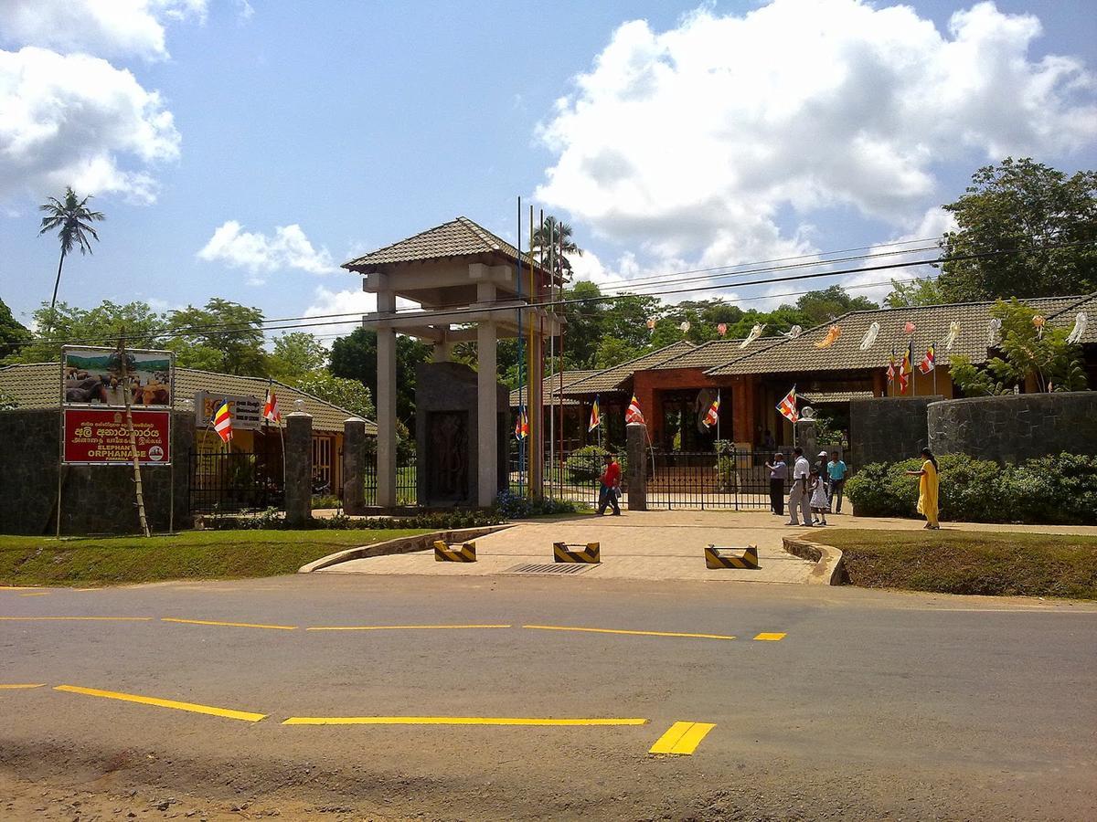 Cafe Pinnalanda Pinnawala  Exteriér fotografie
